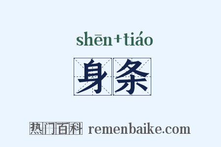 身条是什么意思的图片